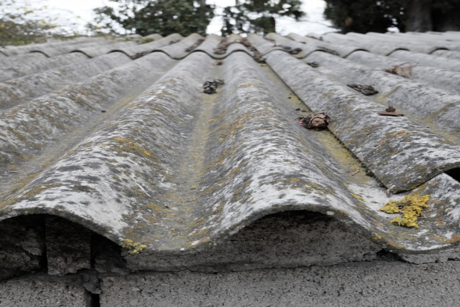 What Are The Benefits Of A Professional Asbestos Survey?